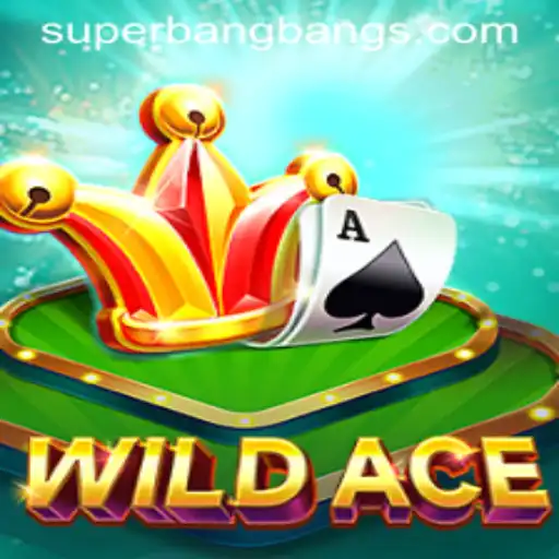 Exploring WildAce: The Exhilarating World of Super Bang Bang